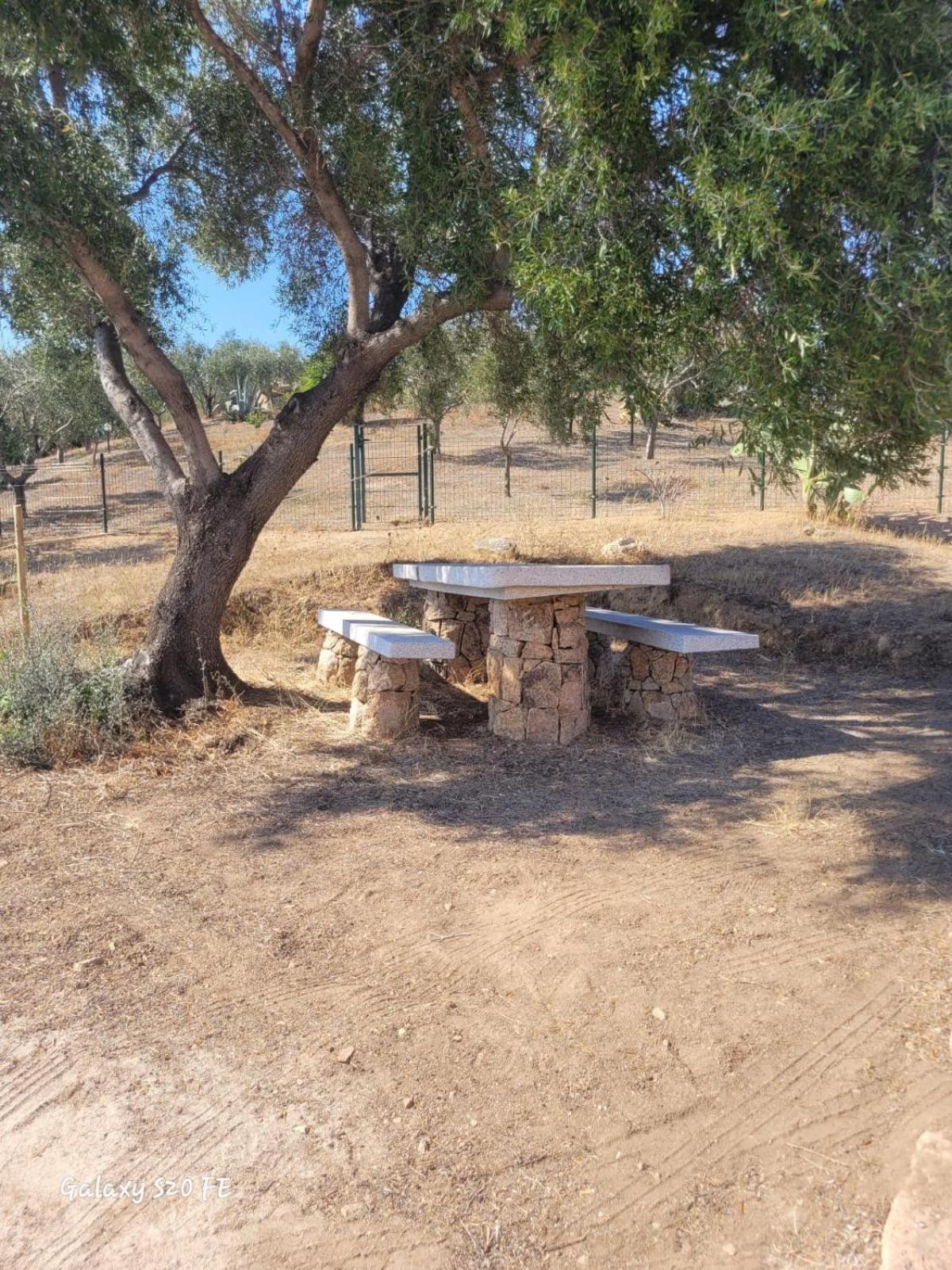 شقة Residenza Degli Ulivi أولبيا المظهر الخارجي الصورة