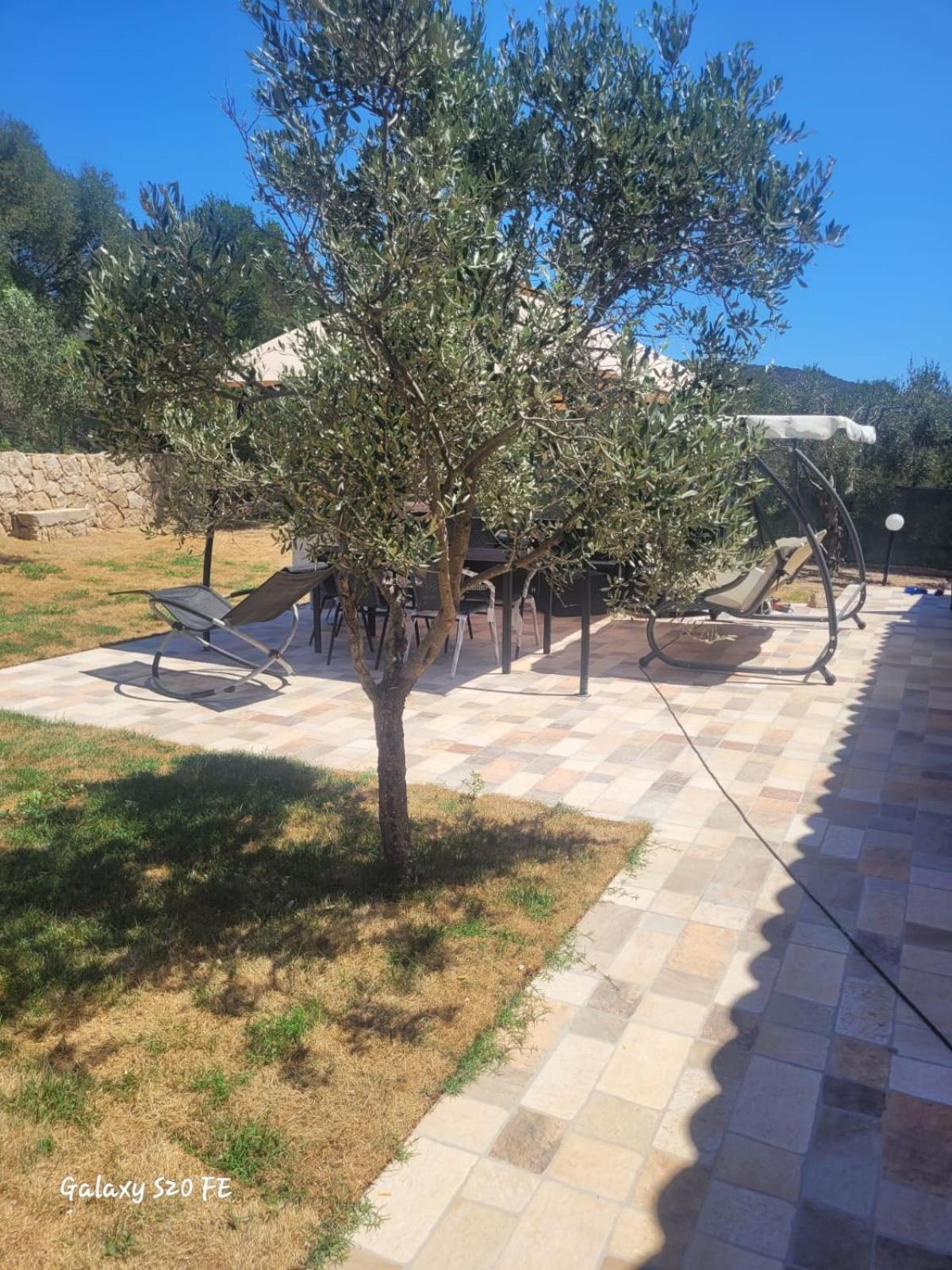 شقة Residenza Degli Ulivi أولبيا المظهر الخارجي الصورة